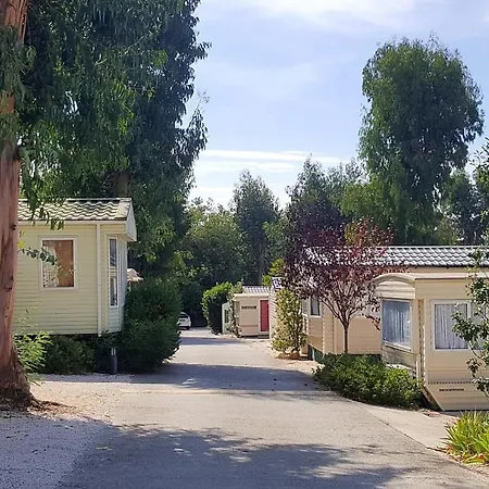 Melrose - Parc Valrose